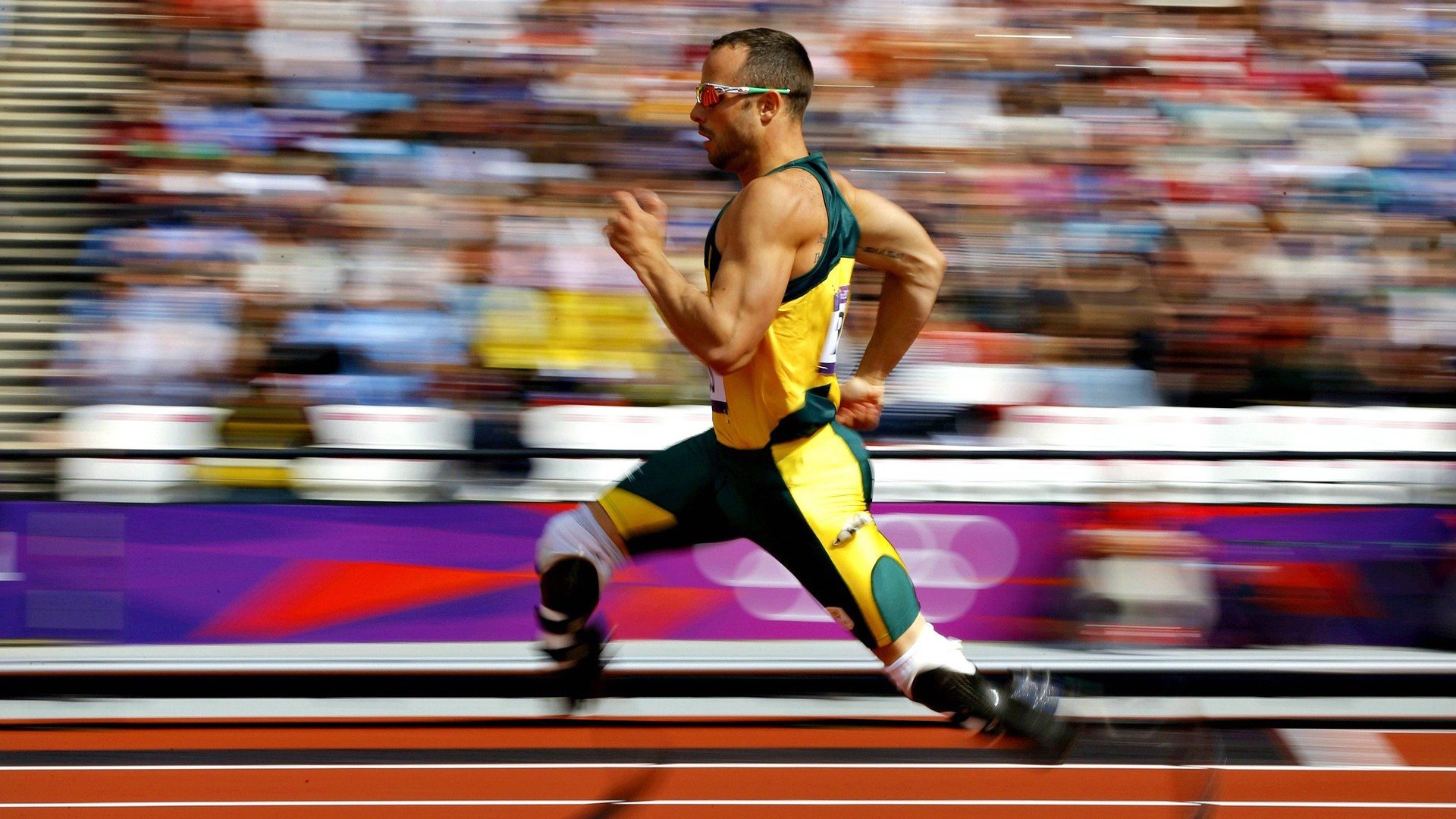 世界杯2026-步行者终结魔术，当福克斯成为关键先生，篮球智慧如何战胜天赋