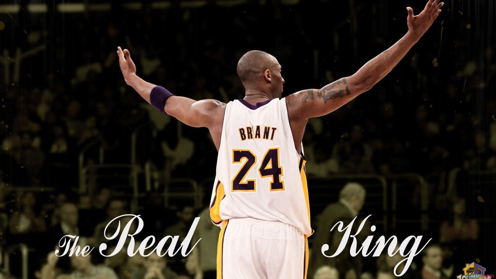 开云体育官方网站-杰伦格林爆发撕裂防线，老鹰提前终结悬念刺痛湖人  第2张