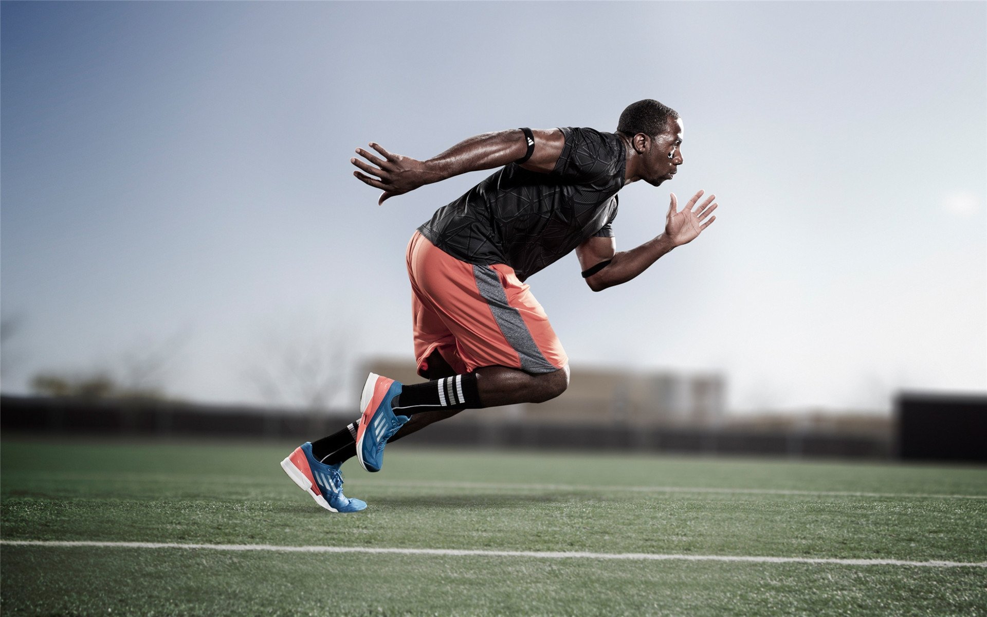 开云体育-太阳鏖战黄蜂，文班亚马在F1新赛季揭幕战接管比赛  第1张